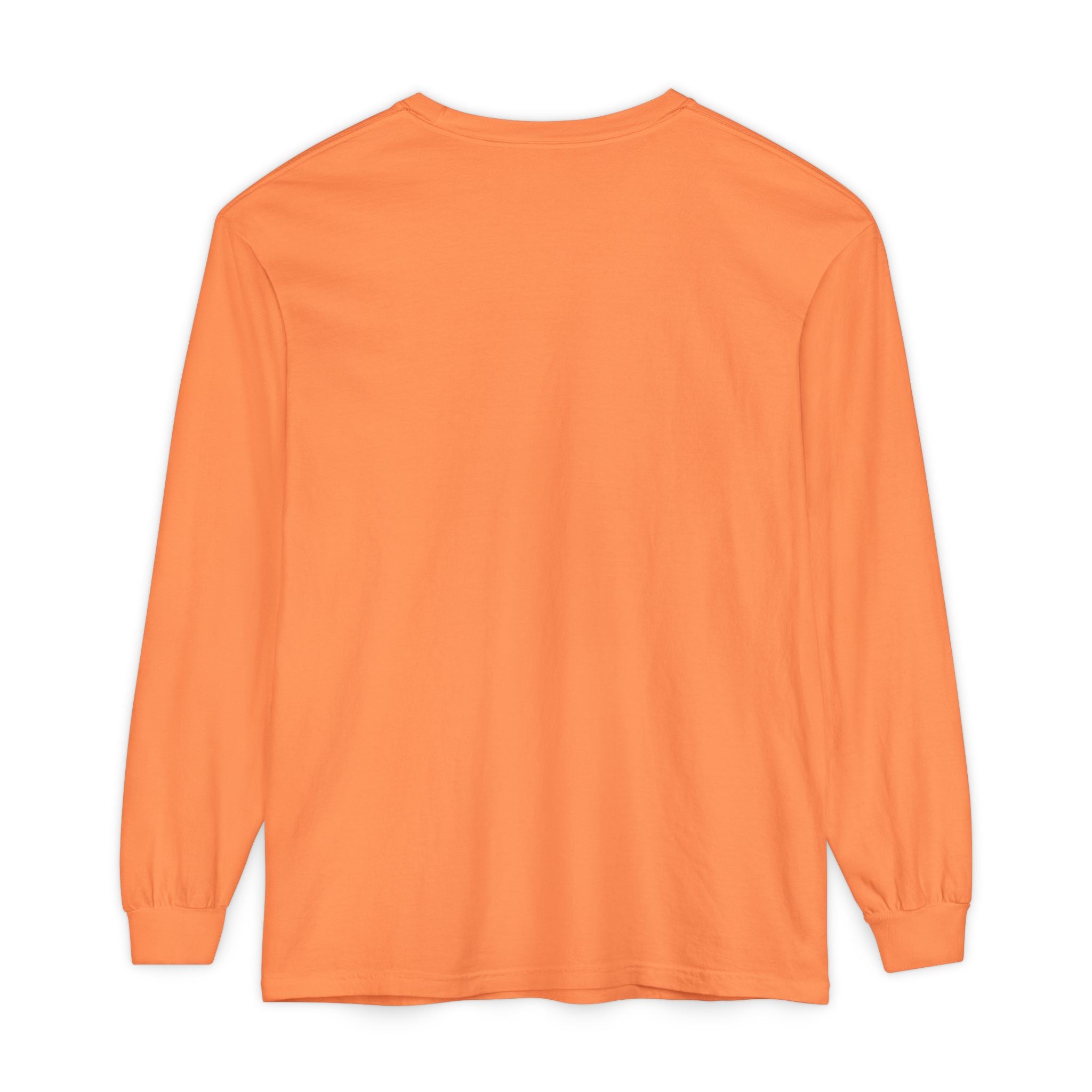 Area 51 Nevada Long Sleeve Shirt — Retro UFO Alien Abduction Tee